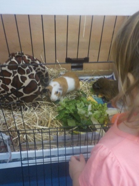 Little Legends Early Learning Centre